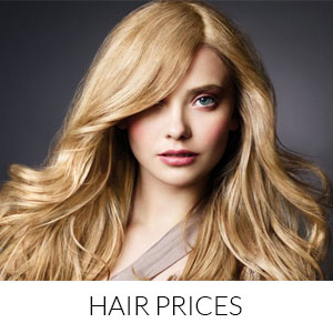 Hair Prices