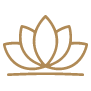 Beauty Services by Space Skin Therapy